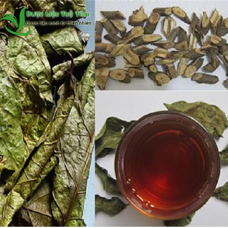 [HCM][ chính hảng ] Cây Xạ Đen Hòa Bình