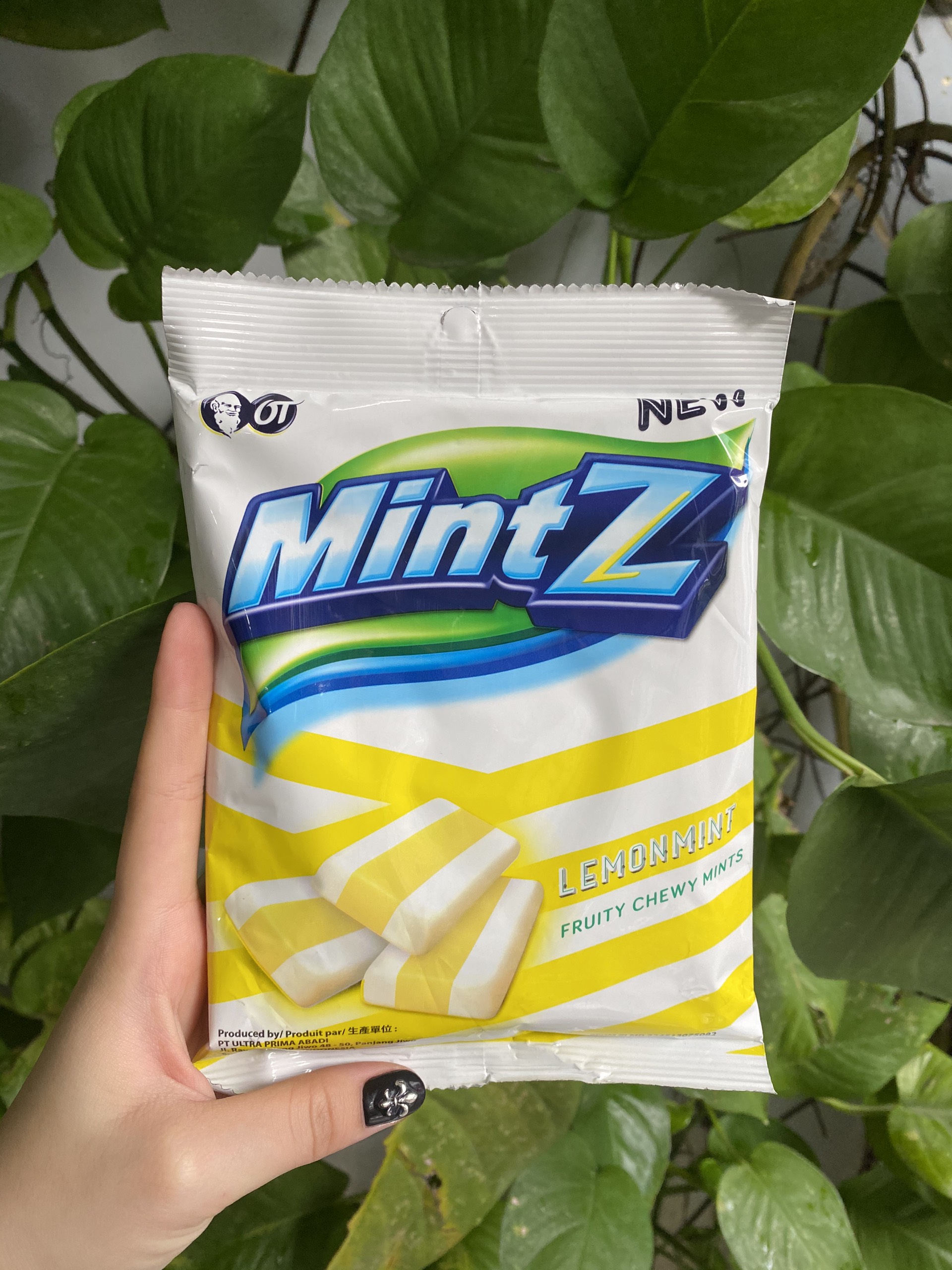 Kẹo Nhai Trái Cây MintZ LemonMint Chewy Vị Chanh