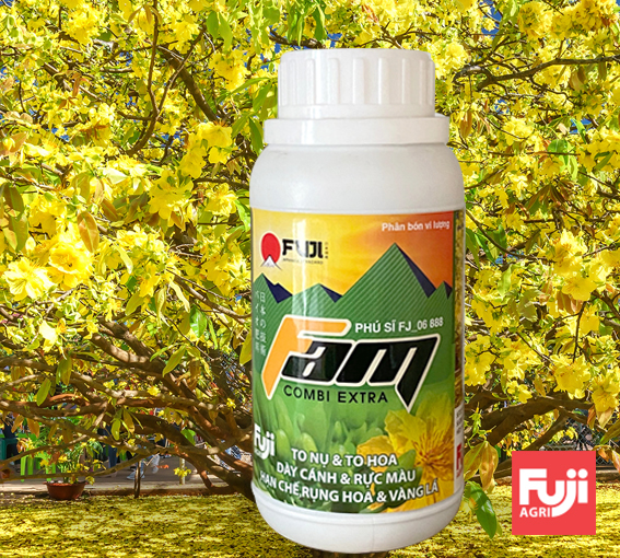 Phân bón mai vàng vàng lá gân xanh, to dày lá FAM Fuji Combi Extra Nhật Bản 250ml