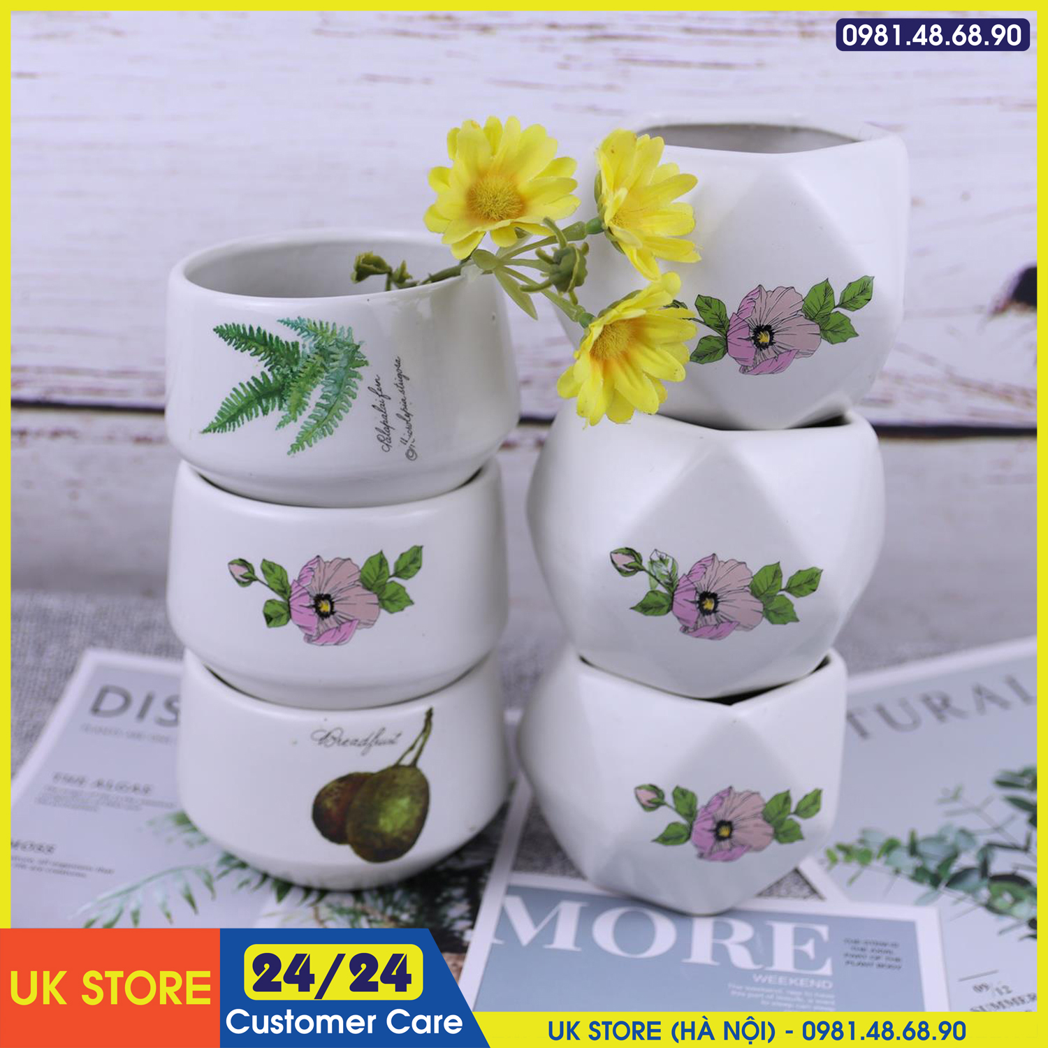 (CHỌN CHẬU) Chậu Sứ MINI Bát Tràng Trồng Cây Cảnh, Sen Đá, Xương Rồng