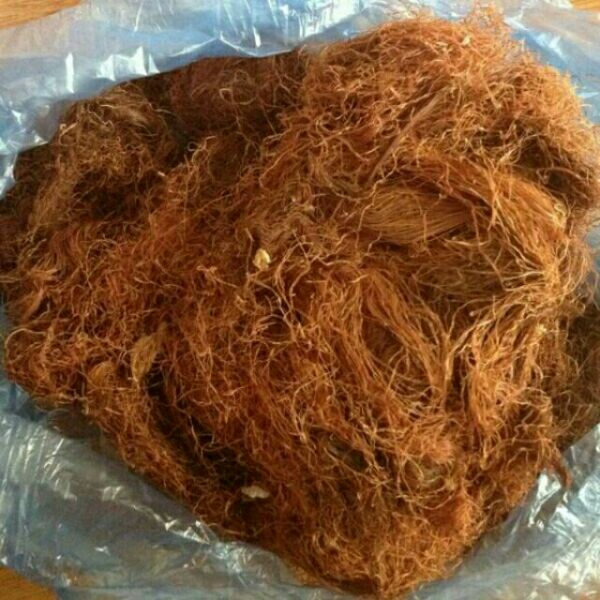 500g trà râu ngô