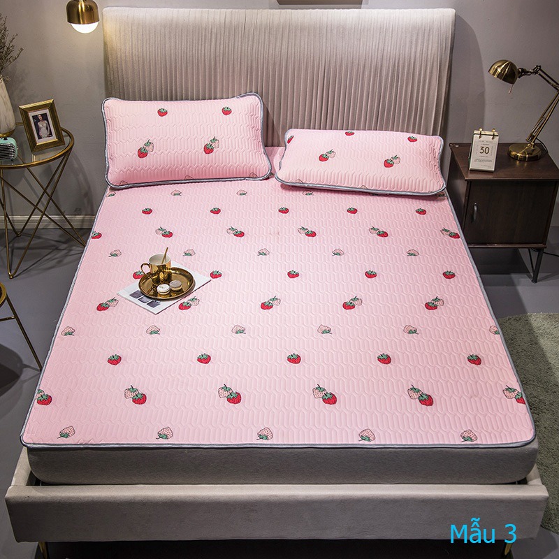 Chiếu điều hòa tencel mủ cao su non cao cấp kèm 2 vỏ gối mát lạnh (1m8 x 2m)