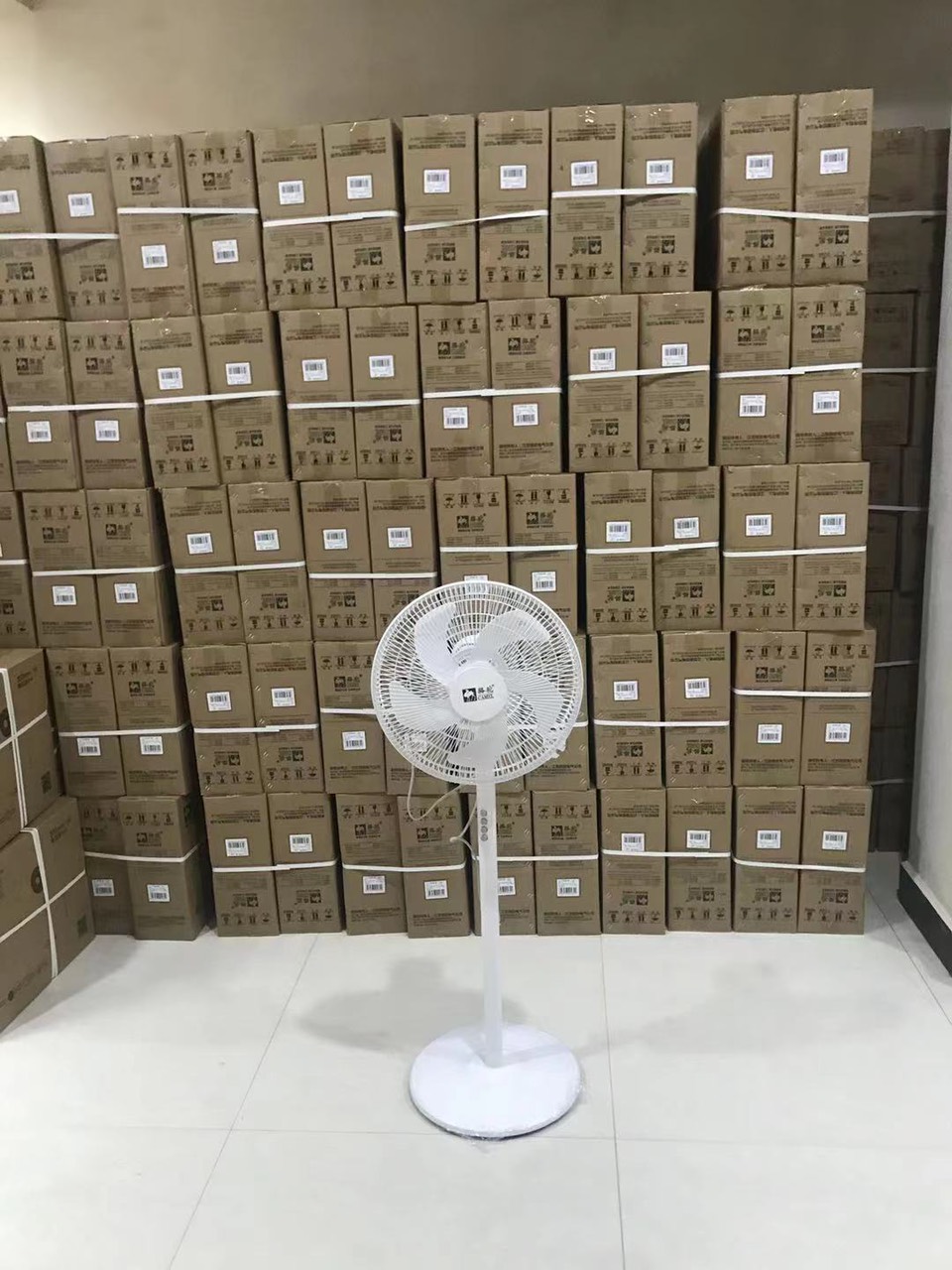 Quạt Cây Đứng, Quạt Điện CAMEL, Bear, Midea, Quạt 5 Cánh, Công Suất Lớn, Có Điêu Khiển Từ Xa, Bảo Hành 12 Tháng