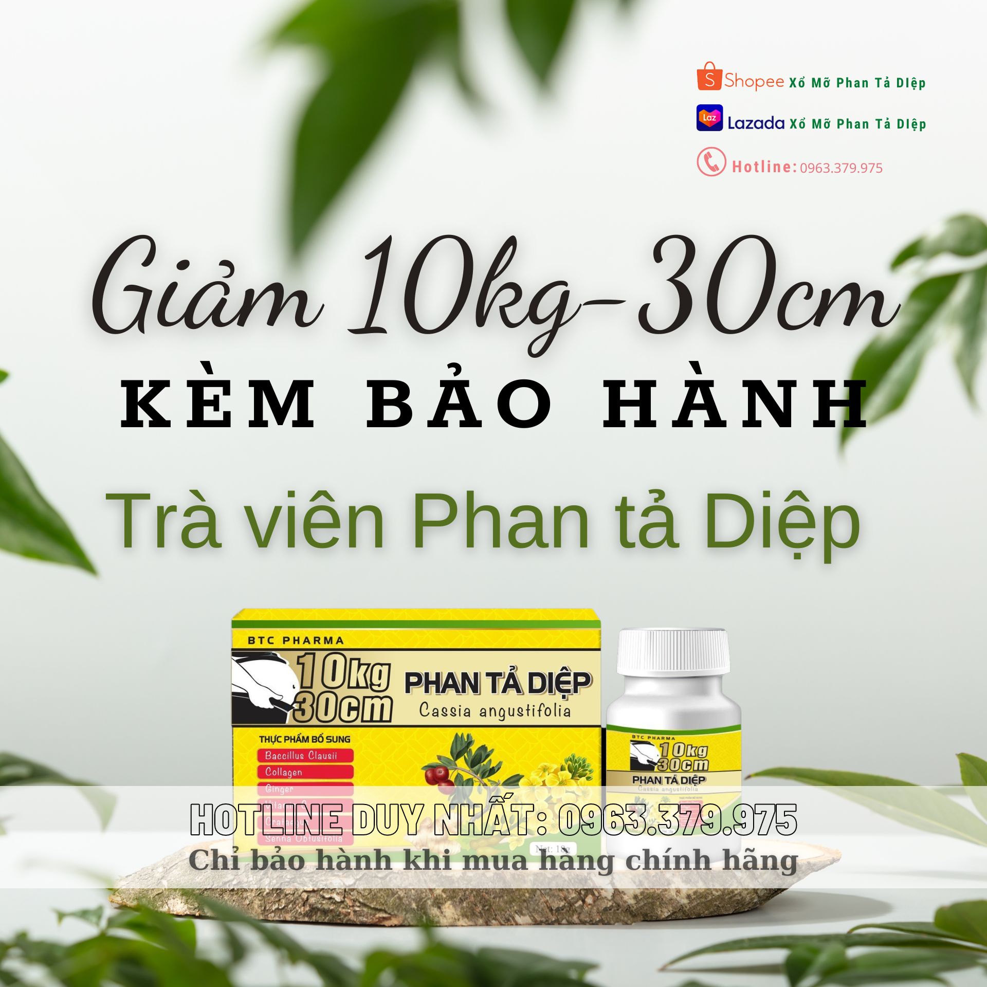 Giảm cân phan tả diệp xổ mỡ siết eo Giảm nhanh kèm cam kết