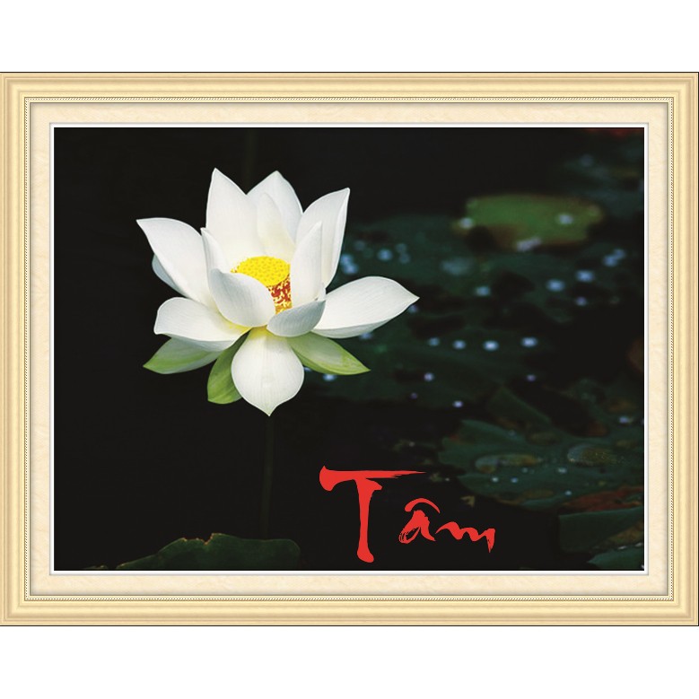 Tranh đính đá chữ tâm - hoa sen 88700