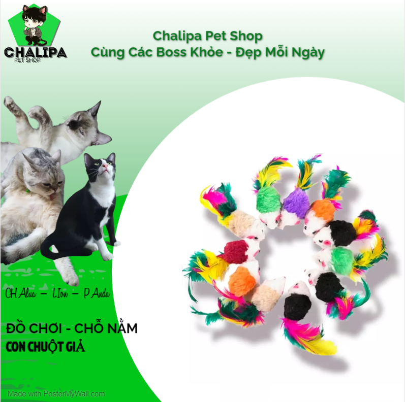 Đồ chơi cho mèo hình chuột