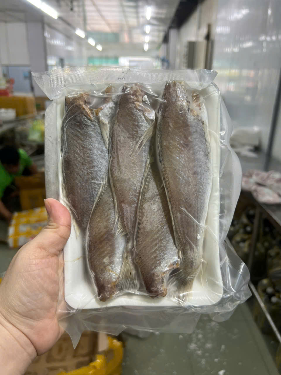 Cá đù 1 nắng size lớn nguyên con hàng mới về 500gr (hỏa tốc giao 2h)