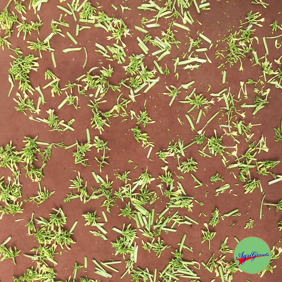Hoa đu đủ đực phơi khô 500gram / bông đu đủ đực phơi khô 500gram / hoa đu đủ đực vườn nhà / agrigoods - 0.5kg