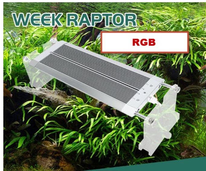 Đèn led thuỷ sinh week raptor wrgb v series - bản nâng cấp có dimmer điều chỉnh độ sáng & hẹn giờ
