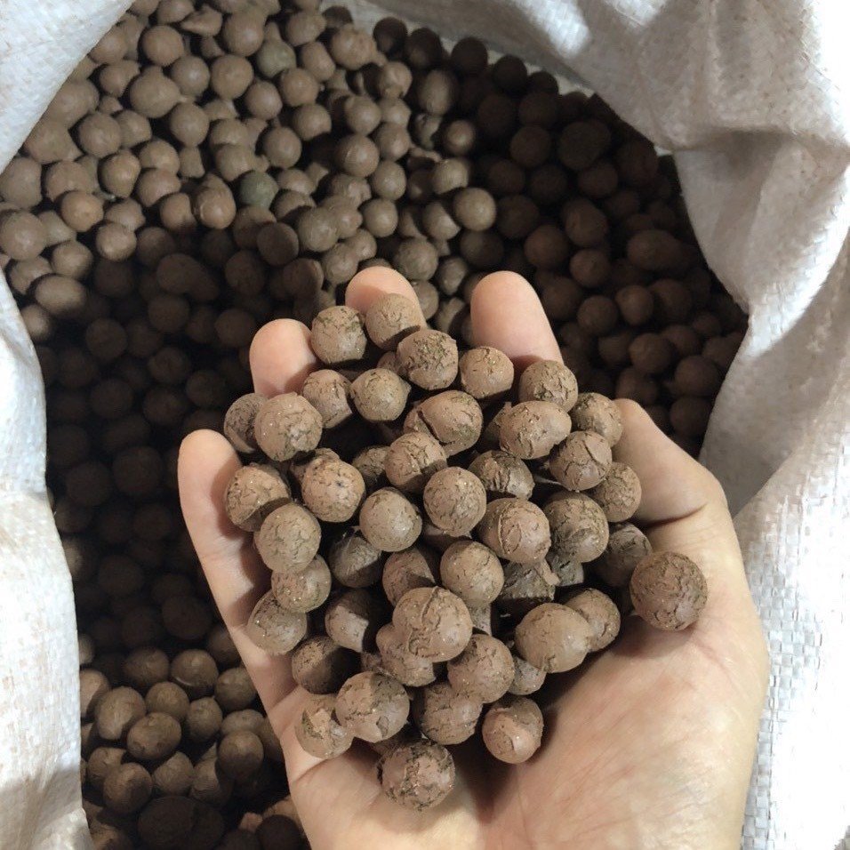 1 KG Viên đất nung , sỏi nhẹ rải bề mặt chậu cây cảnh giá rẻ