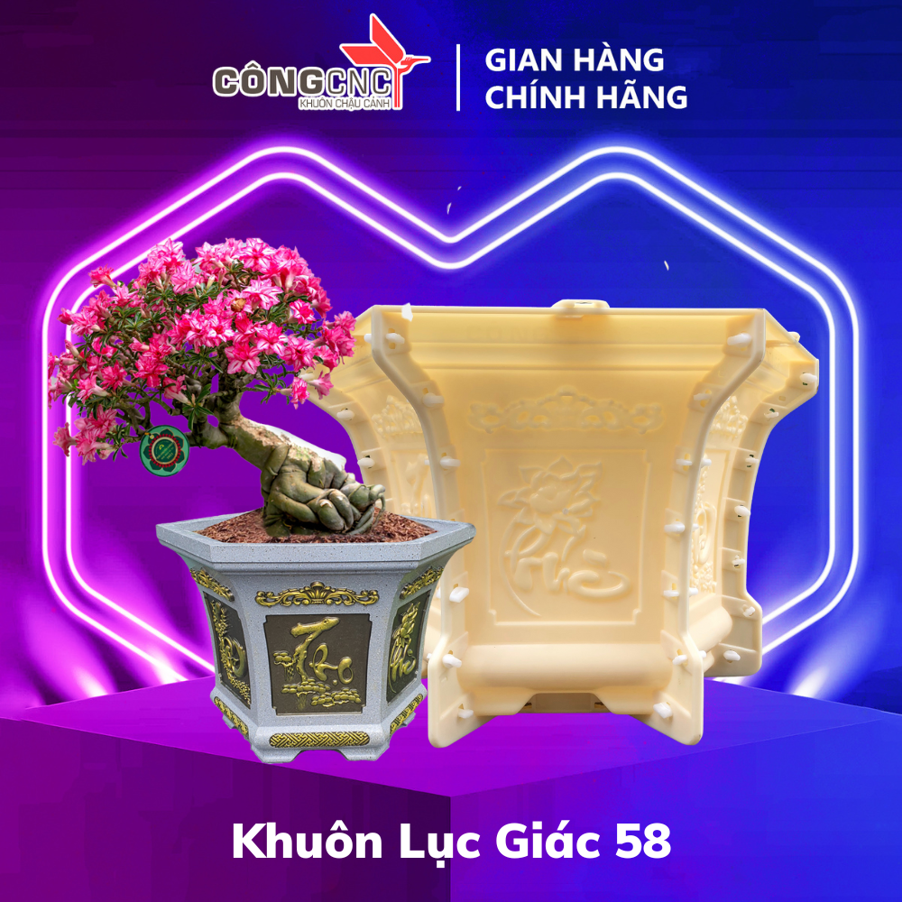 Khuôn đúc chậu lục giác 58
