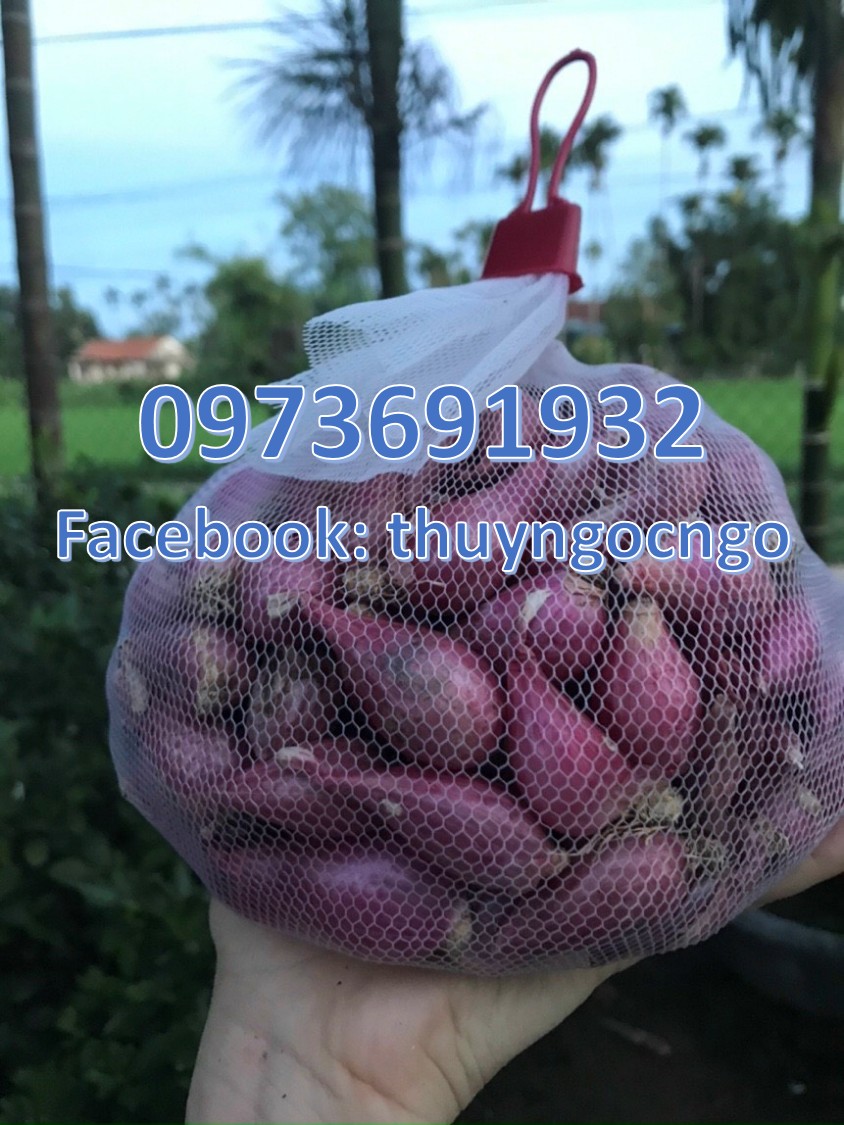 Hành Lý Sơn chính gốc Quảng Ngãi - Túi lưới 1kg