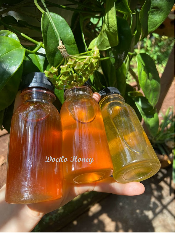 Mật ong dùng thử chai 100ml-Mật ong Ban Mê- Mật ong hoa cà phê, hoa bạc hà, hoa nhãn nguyên chất- Mẫu dùng thử Mật ong tây nguyên- 100 ml mật ong các loại- Mật ong sỉ lẻ- Mật ong đóng chai