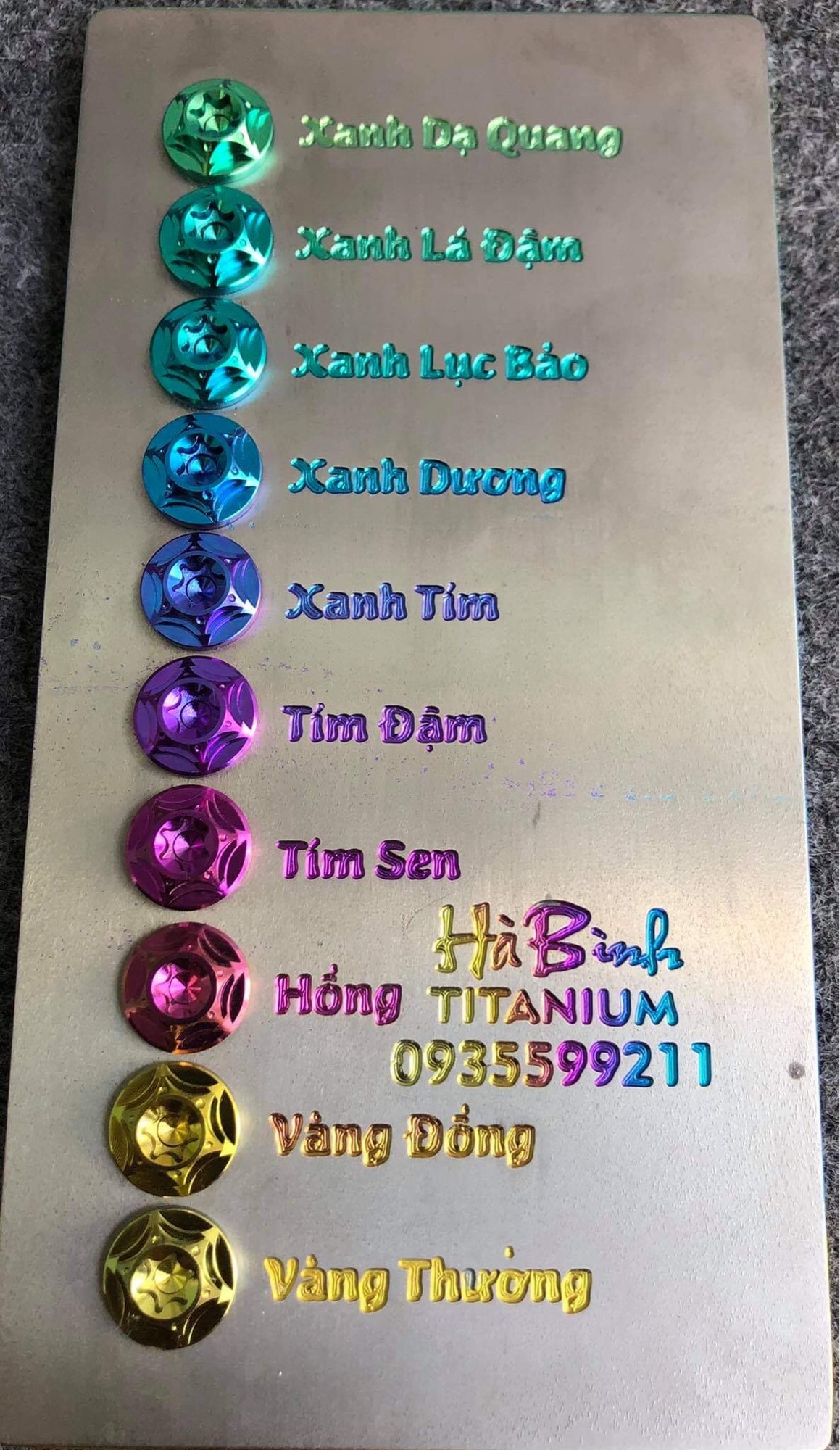 Óc titanium gr5 Salaya 6ly10 gắng mũ bảo hiểm