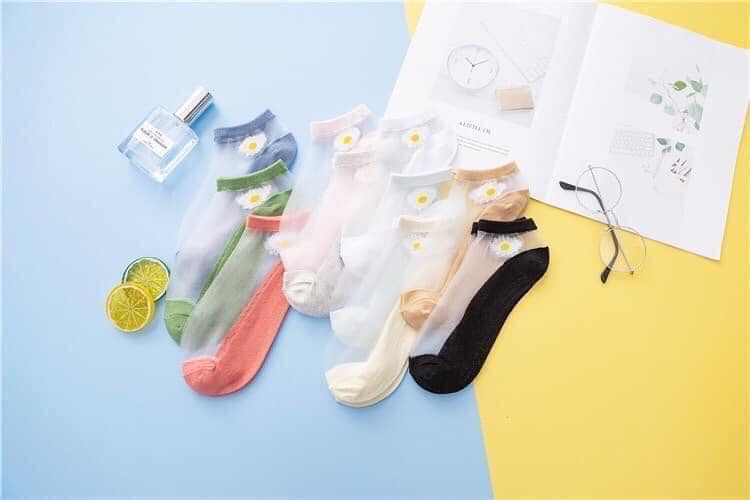 Set 10 đôi tất hoa cúc lưới full màu