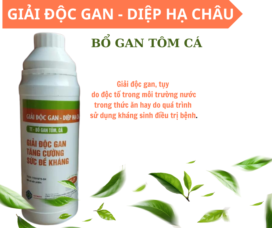 Giải độc gan - diệp hạ châu , tôm , cá vật nuôi