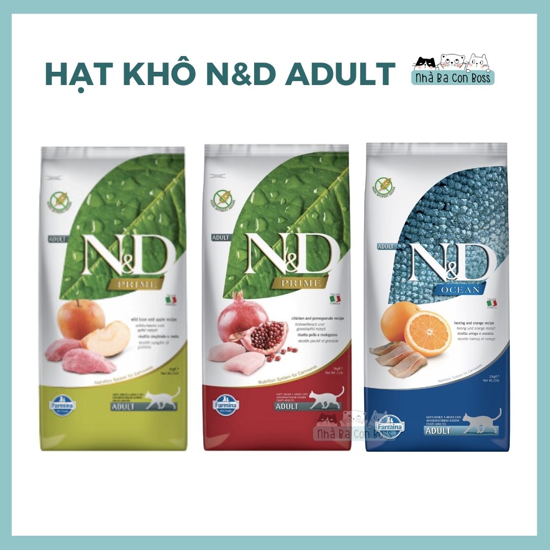 Hạt cho mèo con / trưởng thành n&d famina