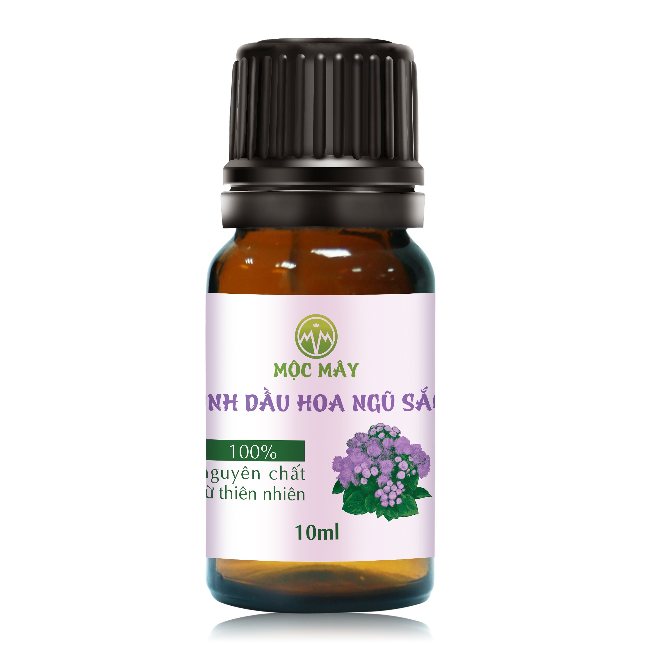 Tinh dầu hoa ngũ sắc/ hoa cứt lợn/ hoa cỏ hôi/ hoa ngũ vị nguyên chất từ thiên nhiên - Mộc Mây