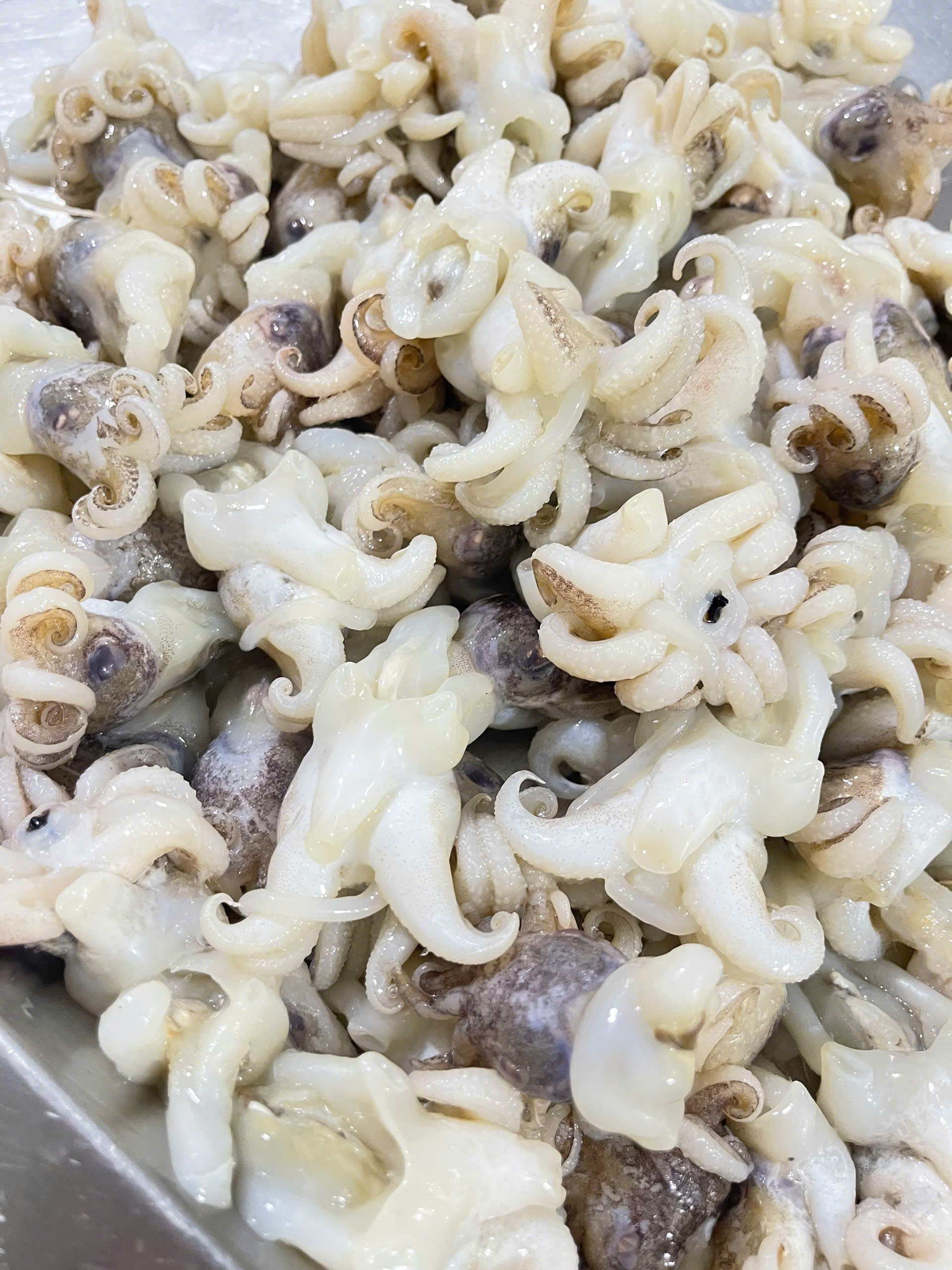 Đầu mực nang size 15-20 cái - Khay 500g ( hỏa tốc TPHCM )