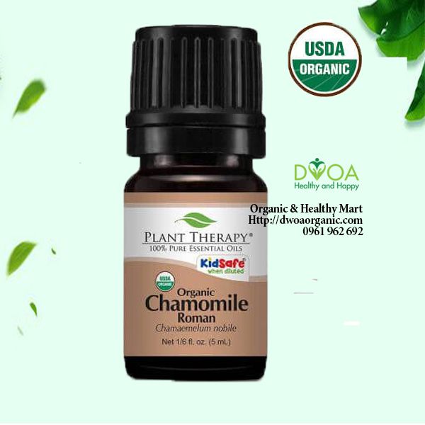 Tinh dầu cúc thảo mẫu hữu cơ Chamomile Roman PlantTherapy