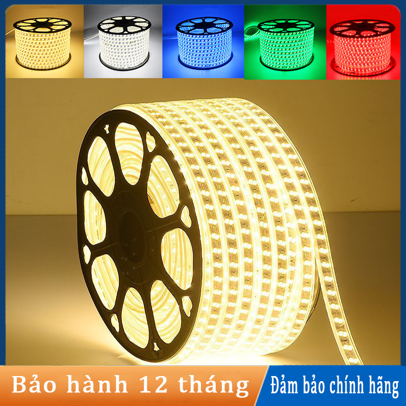 Đèn Led Dây 220V 5730 100m/cuộn Siêu sáng chính hãng dùng trang trí ngoài trời, hắt trần Thạch Cao
