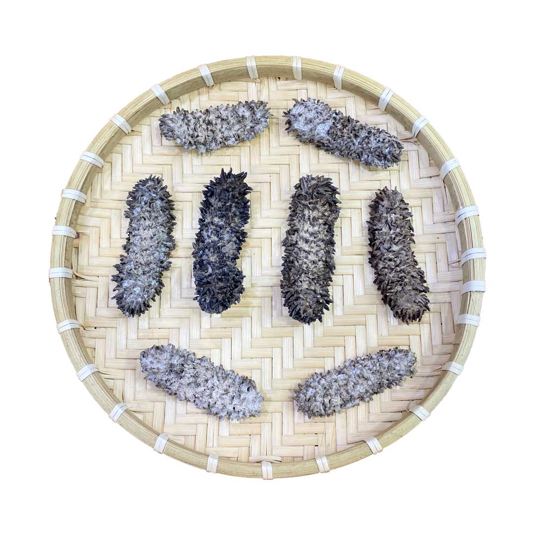 Hải sâm gai khô