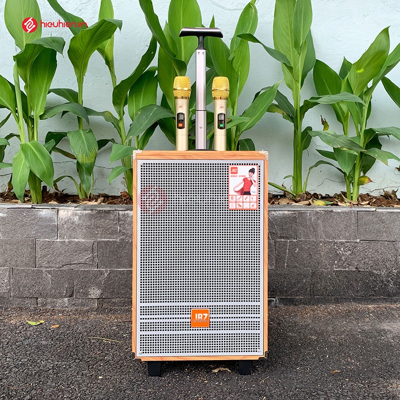 Loa kéo jbz 1003 bass 25cm tặng kèm 2 micro không dây