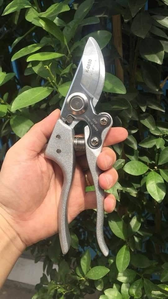[KAPUSI] Kéo cắt cành nhật bản chính hiệu thép SK5 sắc vĩnh viễn, KÉO CẮT CÀNH KAPSI SIÊU BỀN SIÊU BÉN