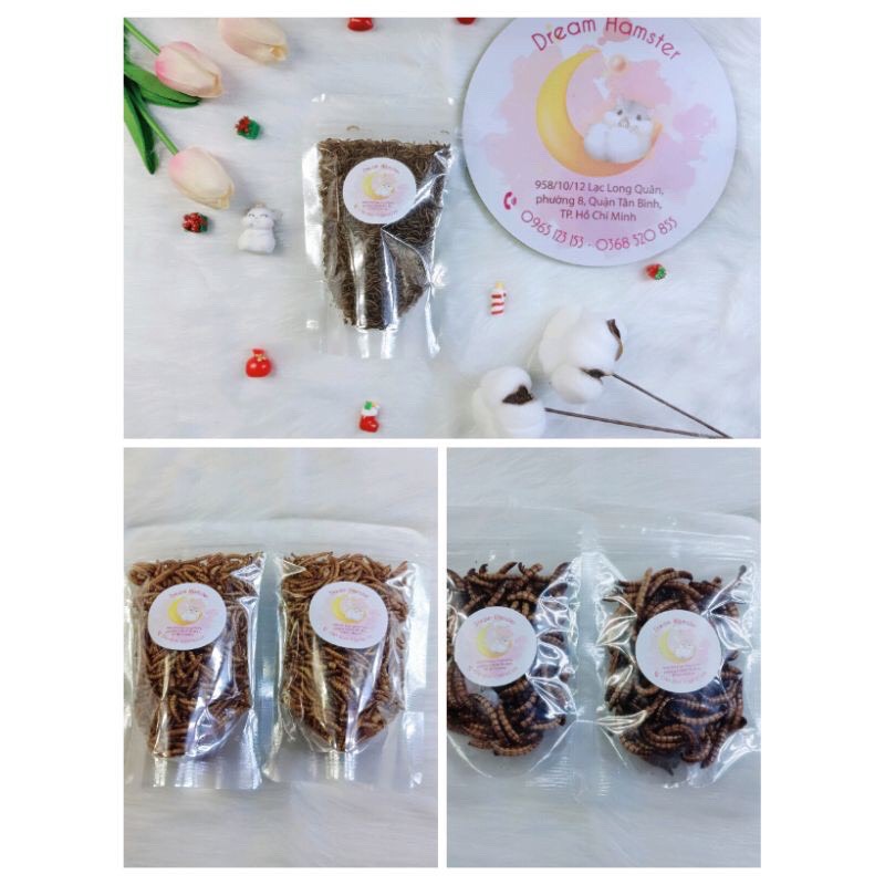 Sâu gạo rang cho Hamster (mini, trung, superworm)