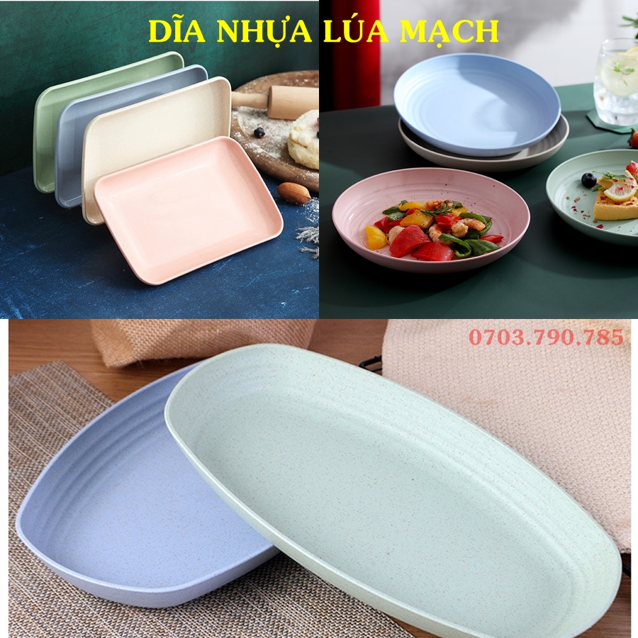 (Loại dày) Dĩa nhựa lúa mạch_Size Lớn