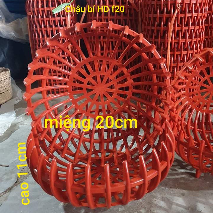Combo 20 chậu bí f20,chậu nhựa trồng lan