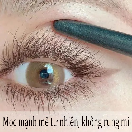 Dưỡng mi dạng lỏng Nuôi dưỡng lông mi dài và dày Thực vật thảo mộc tinh chất nhập khẩu Dày khỏe cong nhanh và tự nhiên Phổ biến cho cả nam và nữ