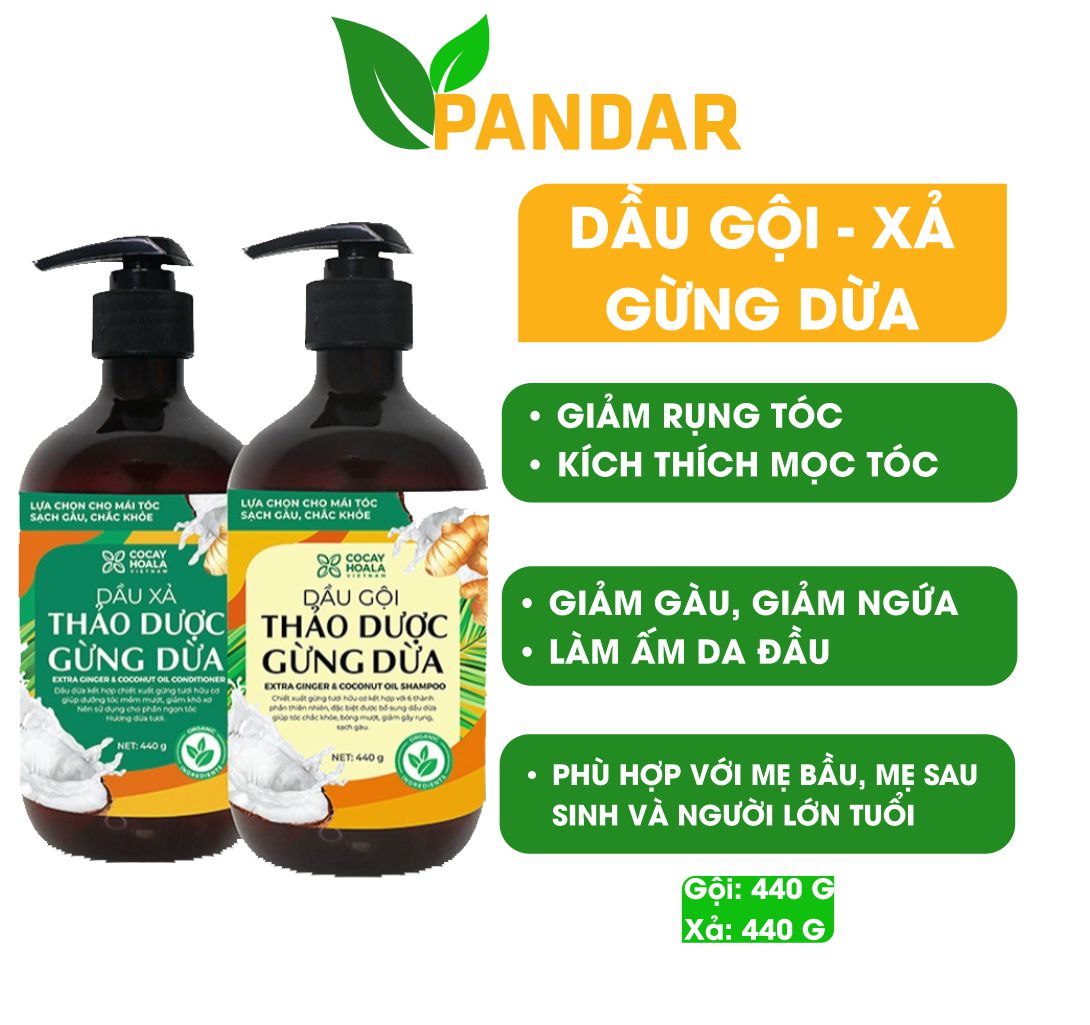 Dầu gội gừng dừa đánh bay gàu giảm nấm ngứa chỉ sau 3 lần sử dụng, giảm rụng tóc, Cỏ cây hoa lá, PANDAR