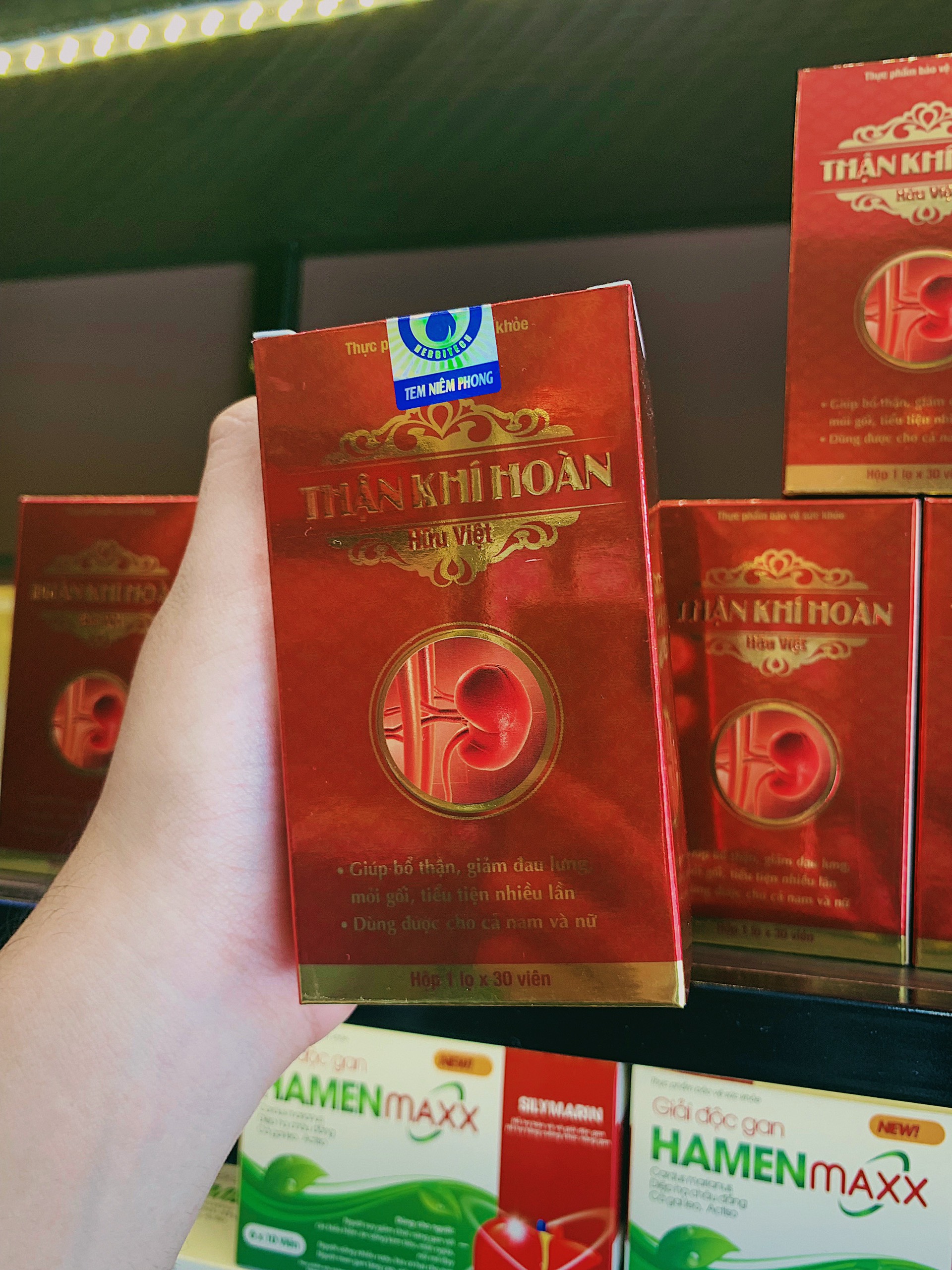 Thận khí hoàn hữu việt – viên uống bổ thận, cải thiện triệu chứng đau lưng, mỏi gối, tiểu tiện nhiều lần