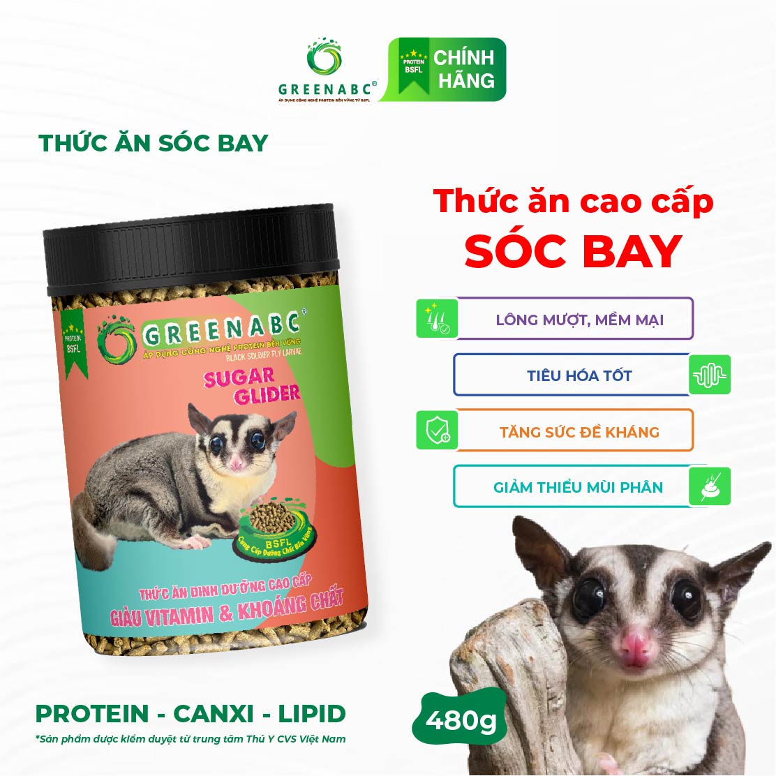 Thức ăn Sóc Bay & Sóc Cảnh GREENABC - Cung cấp Protein - Canxi - Lipid năng lượng dồi dào - Hộp 480g