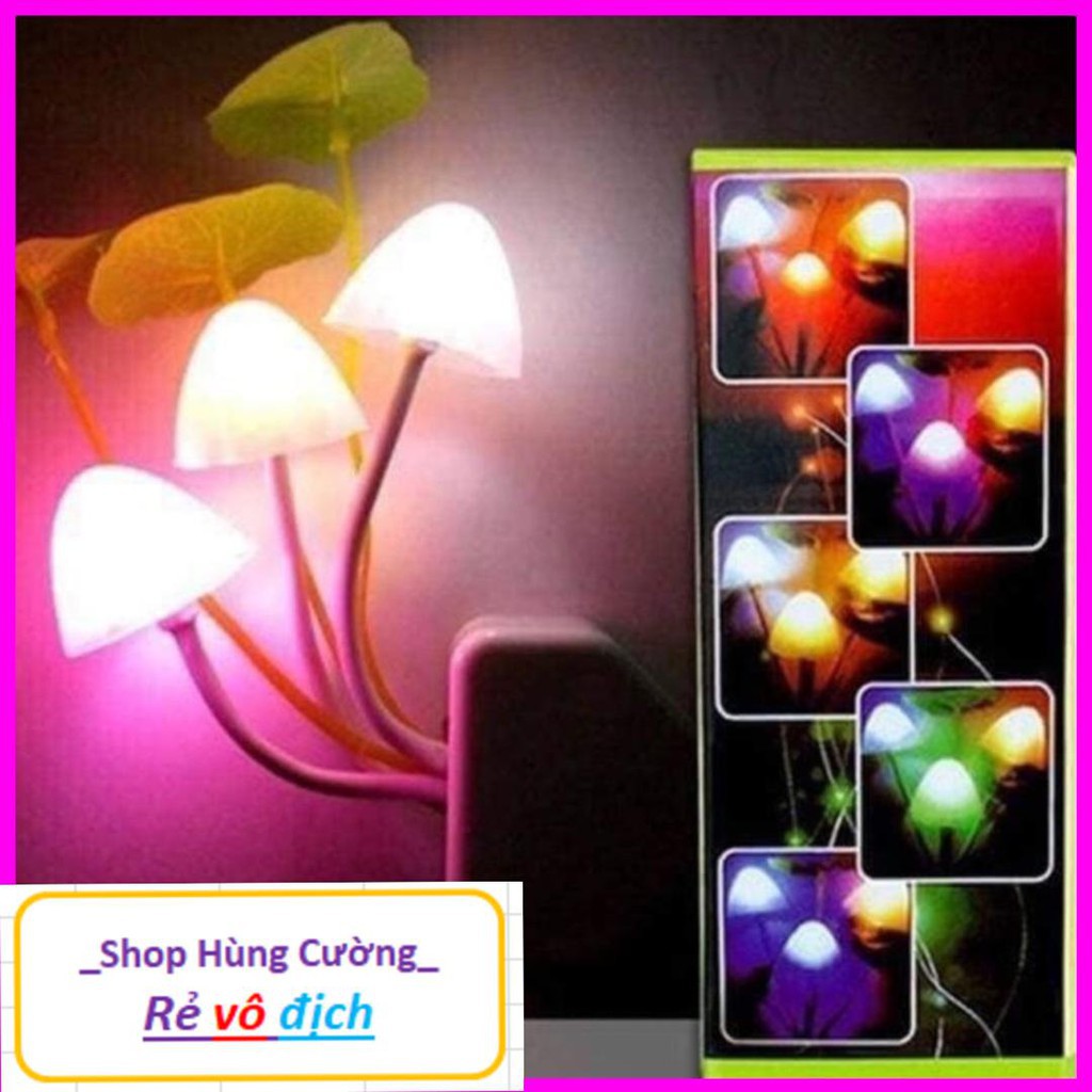 (LOẠI 1)Combo 2 Đèn ngủ cảm biến ánh sáng 3 cây nấm - Mặt Trời Sáng Tạo,Đèn ngủ thông minh 3 cây nấm cảm ứng ánh sáng tiện lợi cho không gian phòng bạn nhỏ