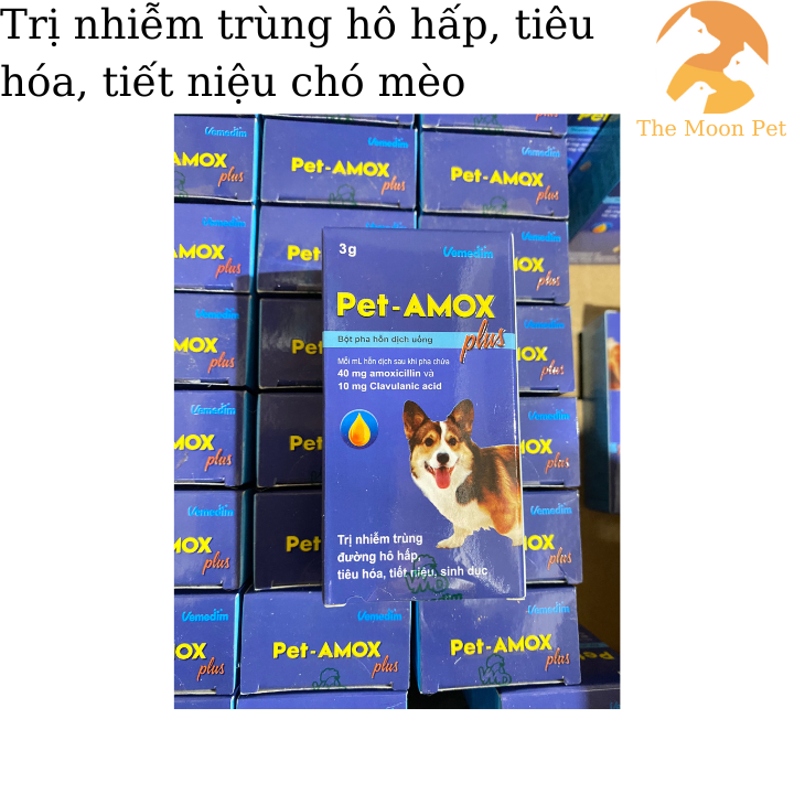 VMD Pet Amox plus chó mèo nhiễm trùng đường hô hấp tiêu hóa tiết niệu sinh dục