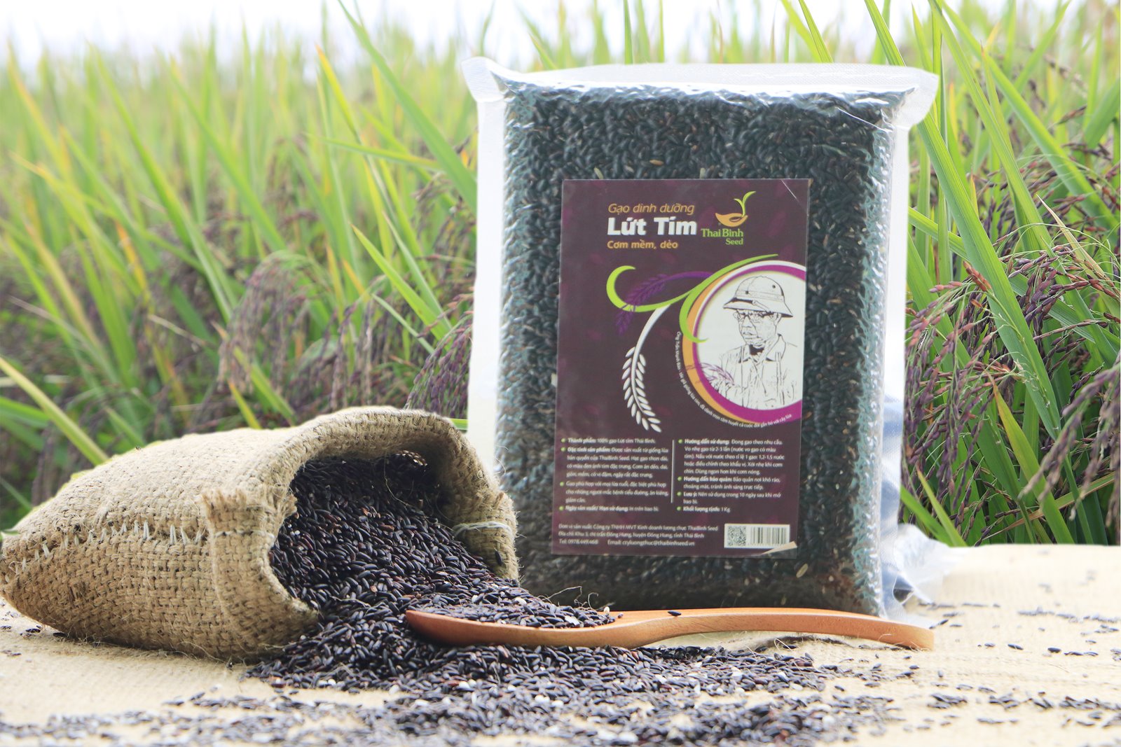 Gạo lứt tím Thái Bình seed