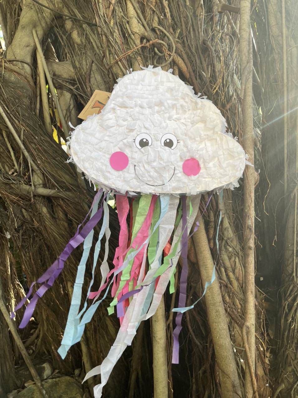 Pinata đám mây