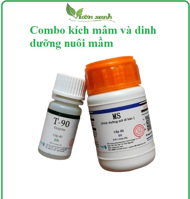Bộ sản phẩm kích mầm gốc T90 và dưỡng mầm siêu phân MS cao cấp (Xila group) chuyên dùng cho phong lan