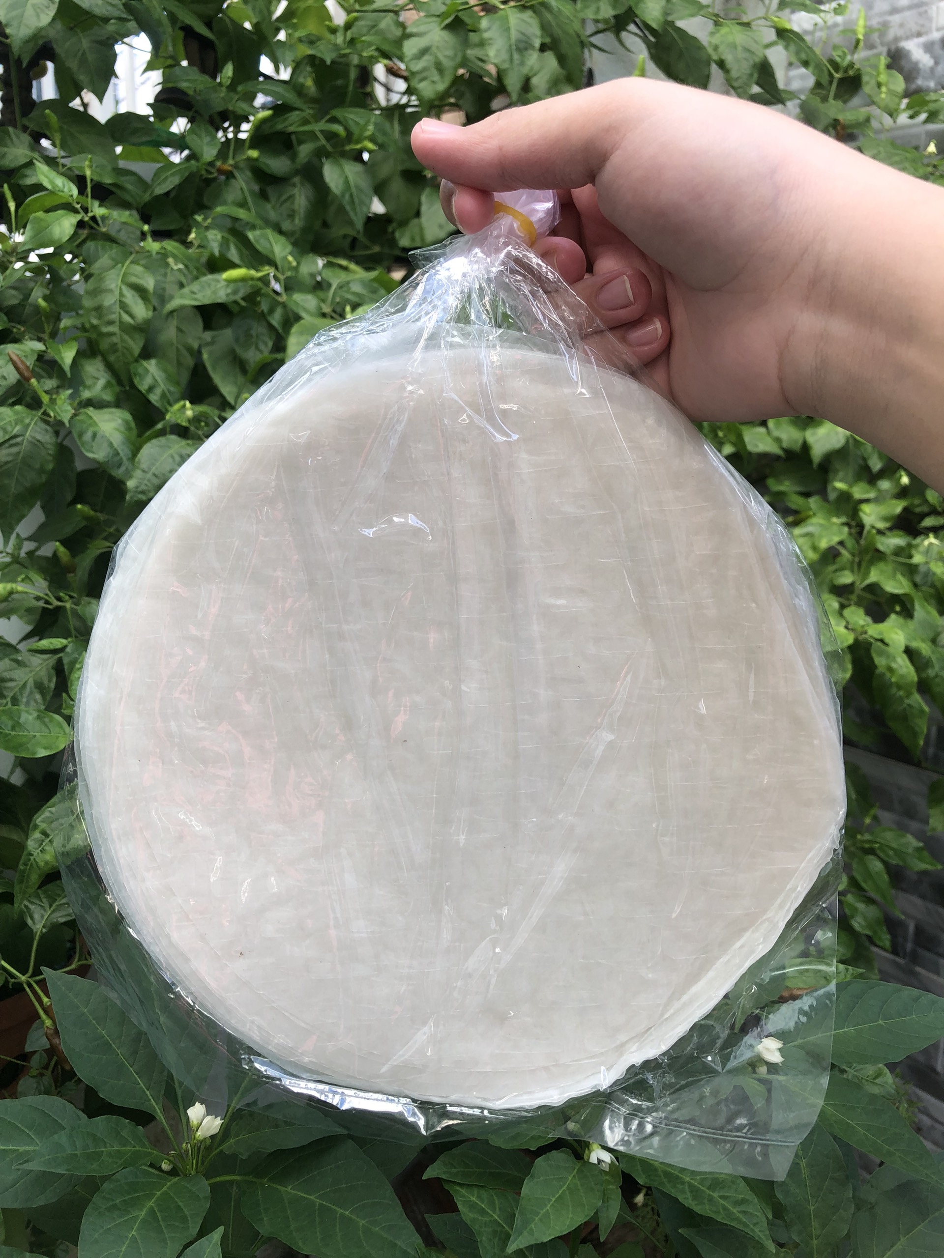 Bánh tráng phơi sương loại 1 ngon mềm dẻo (gói 300g). Đặc sản Tây Ninh. Ăn vặt Thanh Trúc 3.