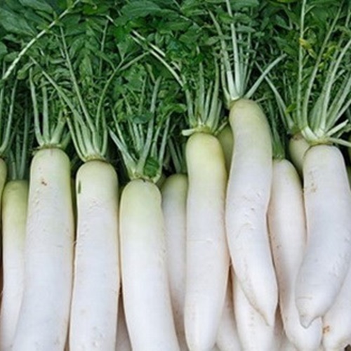 Hạt Giống Củ Cải Trắng. Túi 50 gram - Nhiều Dinh Dưỡng - Dễ Trồng - Năng Xuất Cao.