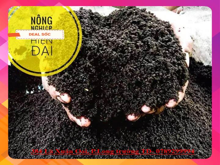 Phân trùn quế nguyên chất 1kg