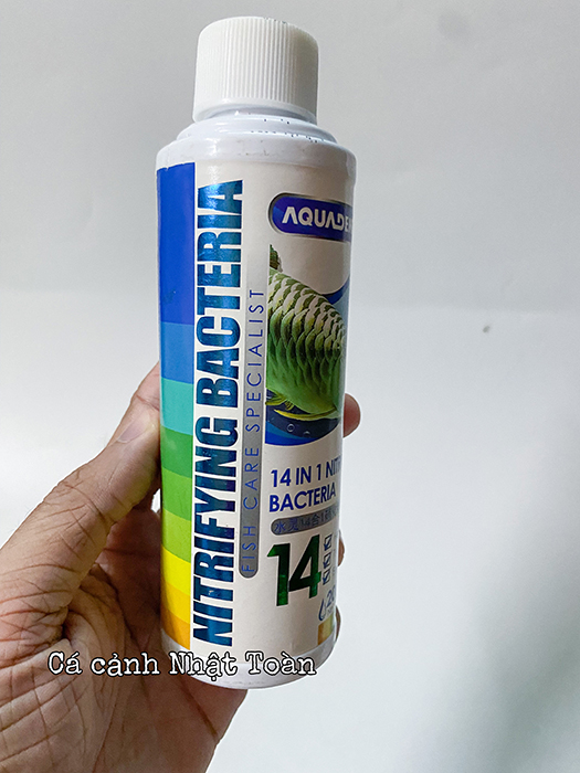 "Hoàn tiền đến 10%" 14 CHỦNG VI SINH CHO HỒ CÁ CẢNH NITRIFYING BACTERIA AQUADENE 200ML