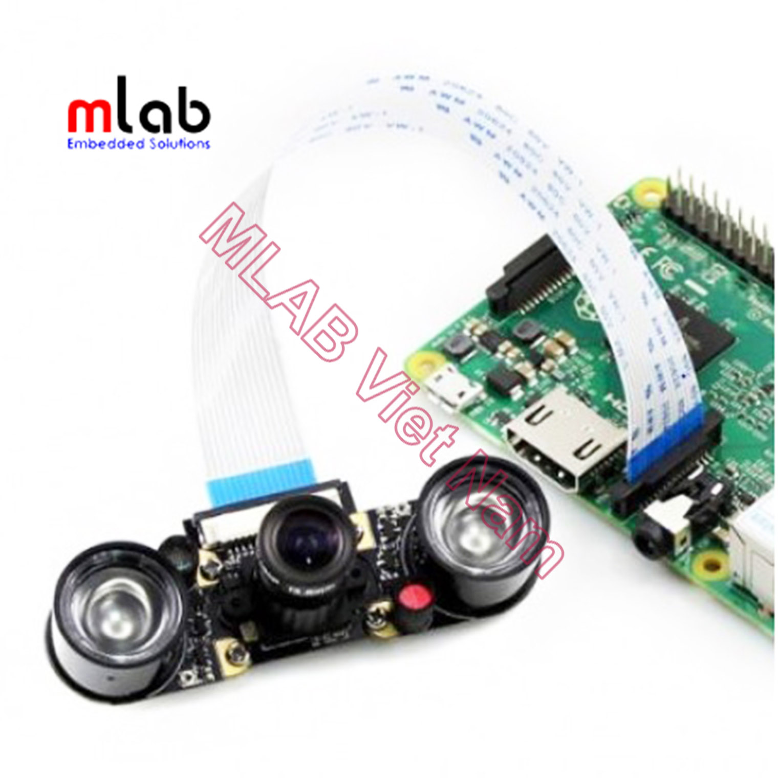 RPi Camera (F)