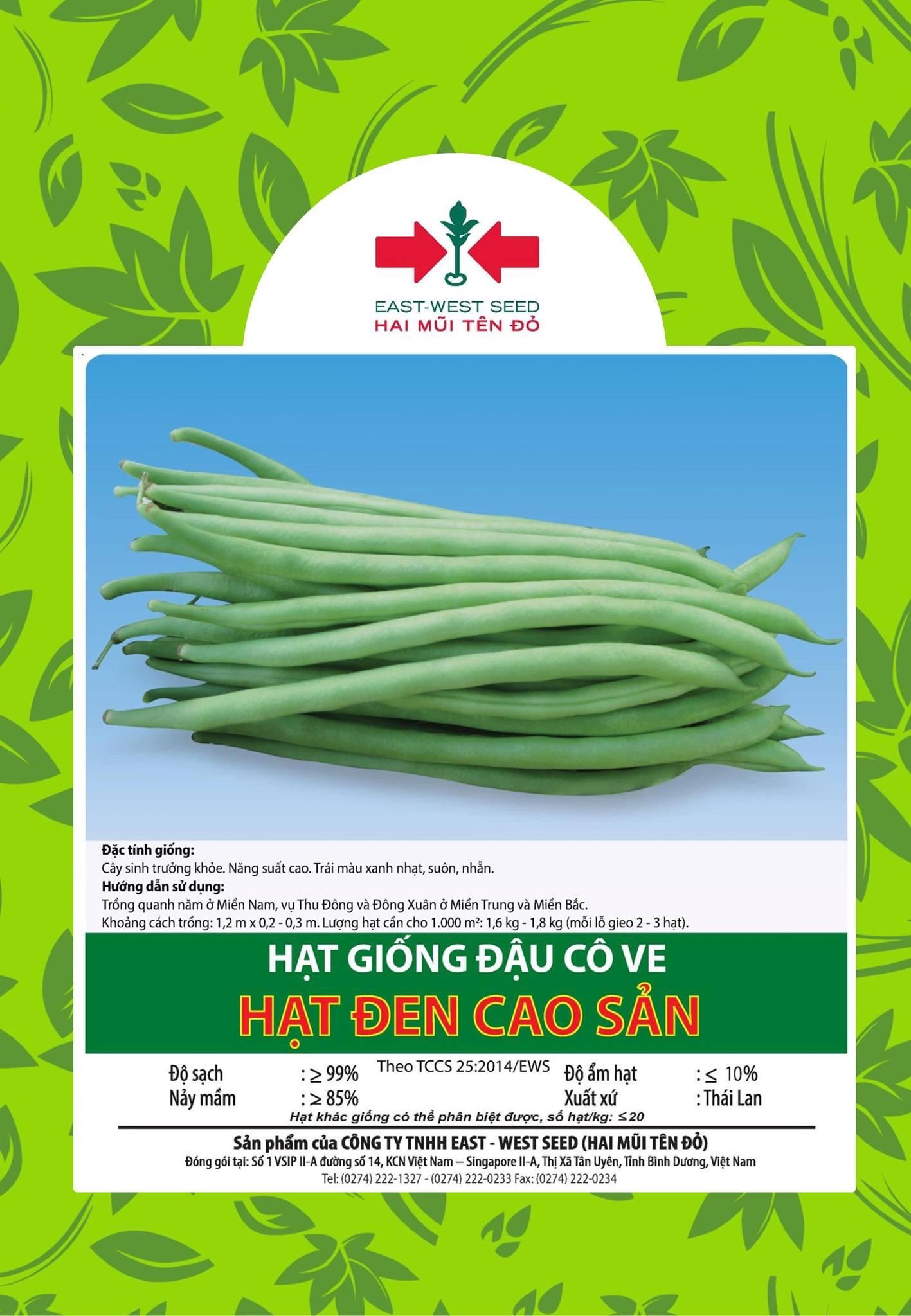 HẠT GIỐNG ĐẬU COVE HẠT ĐEN CAO SẢN