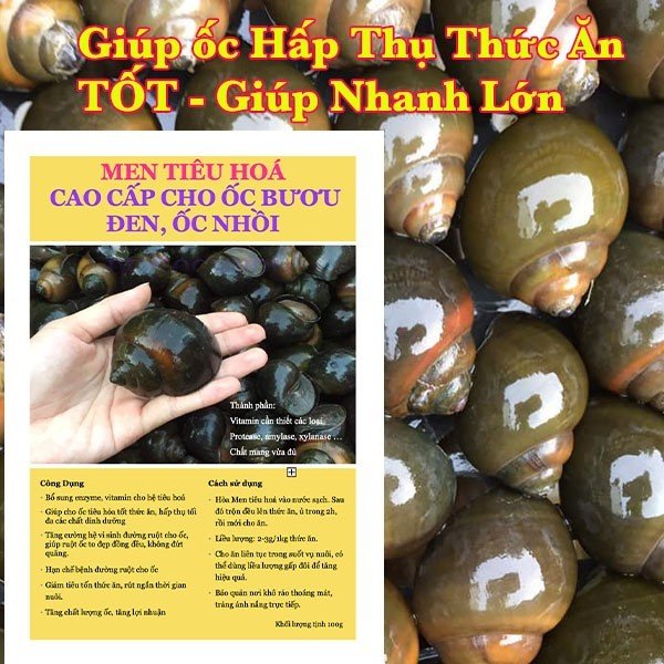 Men tiêu hóa cho ốc. 100g