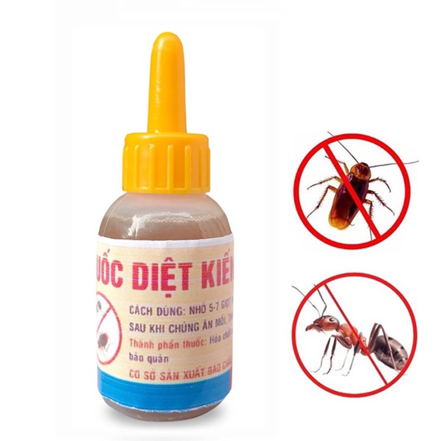 Thuốᴄ diệt kiến gián tận gốc an toàn hiệu quả