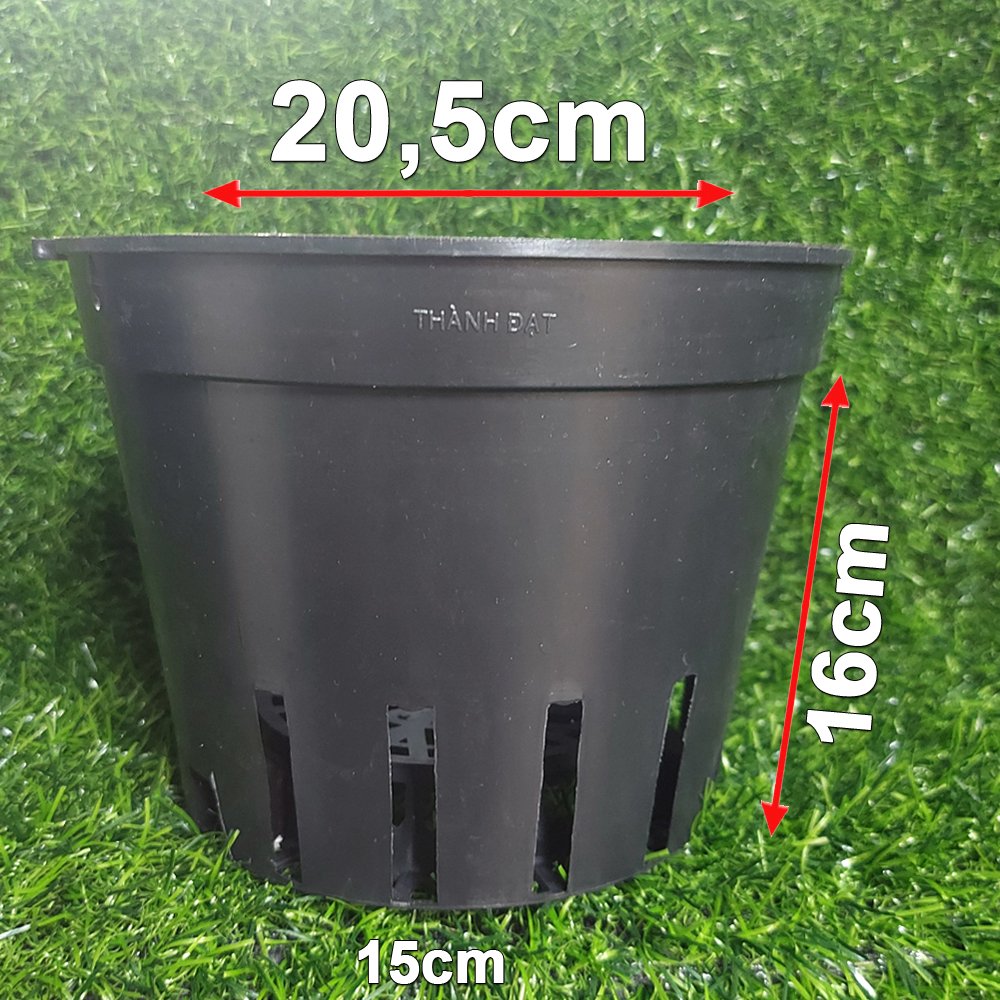 Chậu nhựa đen trồng lan phi 21 bền, dẻo, có khe treo chậu-77320