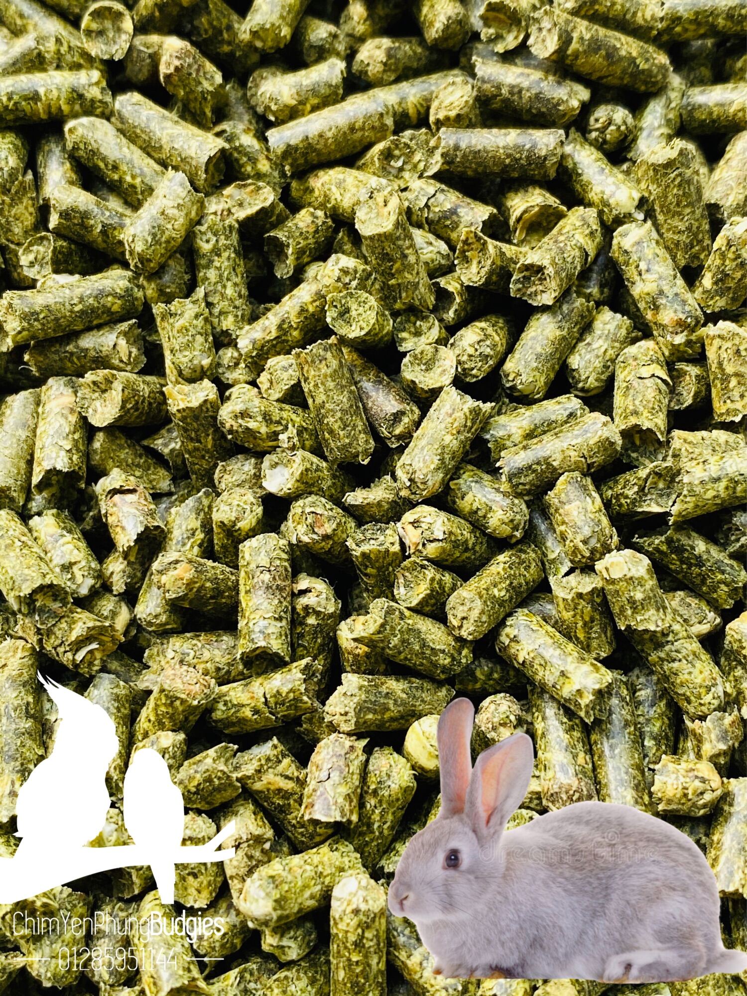 2kg cỏ nén, cỏ linh lăng (CỎ ALFALFA) cho GÀ ĐÁ, BỒ CÂU, THỎ BỌ... giúp sung mãn.